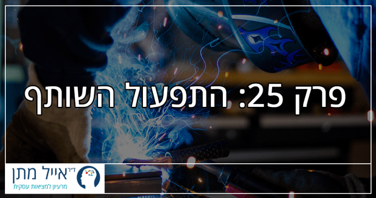 פרק 25 - התפעול השותף