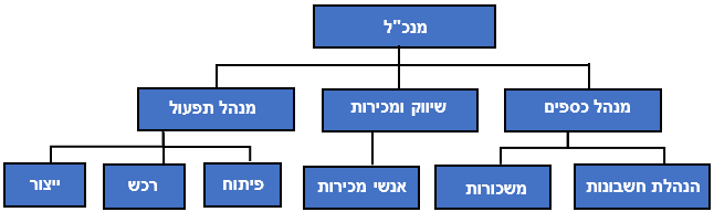 מבנה ארגוני מלא בעסק